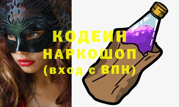 индика Вязьма